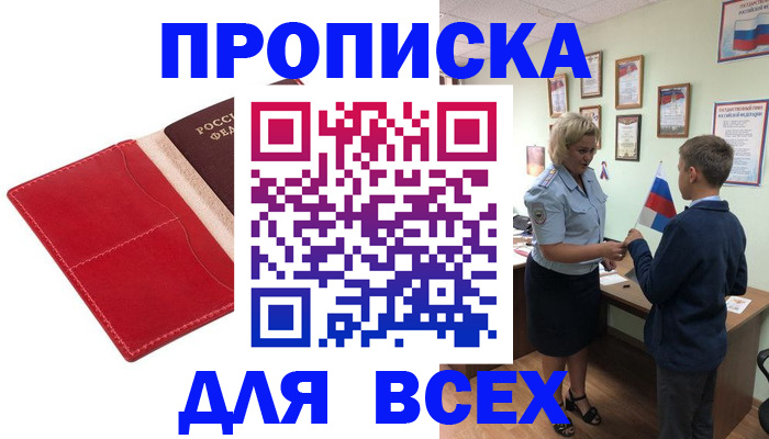 где прописаться в Коле